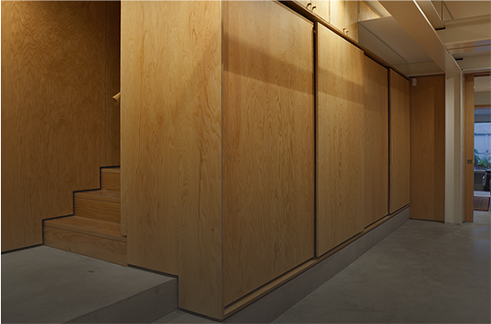 Basement Area, Monkstown